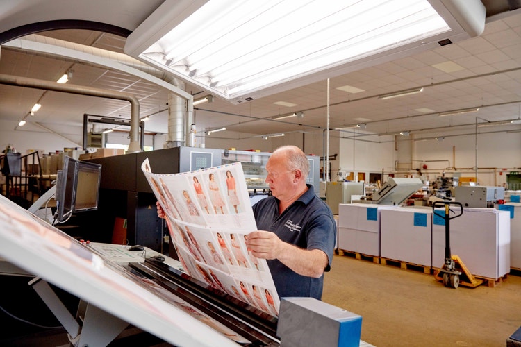 Karriere | David Nieper